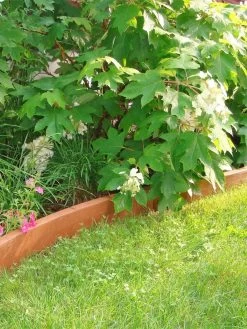 Curved Landscape Edging Kit With 2" Boards 9 Curved Landscape Edging Kit With 2" Boards -Outdoor Garden Care Shop 8599407 03V tif