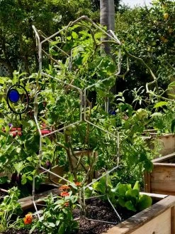 Gardener's Vertex Lifetime Pepper And Eggplant Cage 13 Gardener's Vertex Lifetime Pepper And Eggplant Cage -Outdoor Garden Care Shop 8599554 01CUST tif