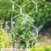 Gardener's Vertex Lifetime Pepper And Eggplant Cage 1 Gardener's Vertex Lifetime Pepper And Eggplant Cage -Outdoor Garden Care Shop 8599554 3000 tif