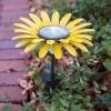 Desert Steel Daisy Solar Light 1 Desert Steel Daisy Solar Light -Outdoor Garden Care Shop 8599556 03V tif