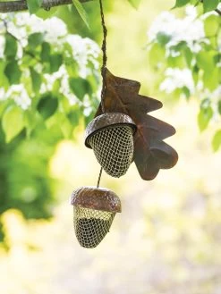 Acorn Bird Feeder -Outdoor Garden Care Shop 8599573 14075 tif