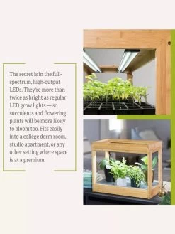 Bamboo Mini LED Grow Light Garden -Outdoor Garden Care Shop 8599624 06