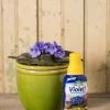 Espoma Violet! Plant Food -Outdoor Garden Care Shop 8599781 18437 espoma violet plant food liquid fertilizer