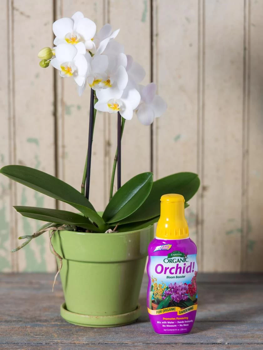 Espoma Orchid! Plant Food 3 Espoma Orchid! Plant Food