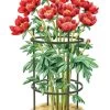 Titan Peony Supports, Medium, Set Of 2 -Outdoor Garden Care Shop 8599858 0001 art tif