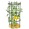Titan Pepper Eggplant Cages, Set Of 3 1 Titan Pepper Eggplant Cages, Set Of 3 -Outdoor Garden Care Shop 8599859 0001 art tif
