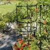 Titan Tomato Cages, Set Of 3 -Outdoor Garden Care Shop 8599861 0049 tif