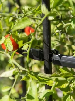 Titan Tomato Cages, Set Of 3 15 Titan Tomato Cages, Set Of 3 -Outdoor Garden Care Shop 8599861 0079 tif