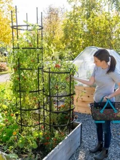 Titan Tomato Cages, Set Of 3 11 Titan Tomato Cages, Set Of 3 -Outdoor Garden Care Shop 8599861 0114 tif