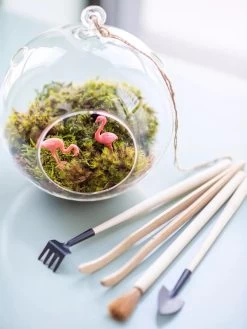 Terrarium Tools, Set Of 4 -Outdoor Garden Care Shop 8599884 01V tif