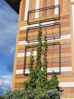 Exeter Wall Trellis 11 Exeter Wall Trellis -Outdoor Garden Care Shop 8600049 7121 tif