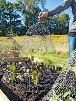 Chicken Wire Cloche With Extension 19 Chicken Wire Cloche With Extension -Outdoor Garden Care Shop 8600116 0604 3 4