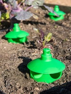 Slug And Snail Traps, Set Of 3 -Outdoor Garden Care Shop 8600120 1788