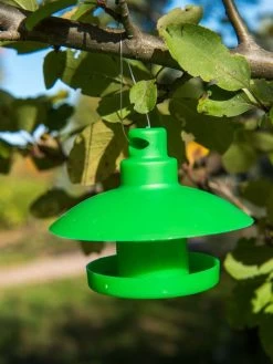 Slug And Snail Traps, Set Of 3 -Outdoor Garden Care Shop 8600120 1792