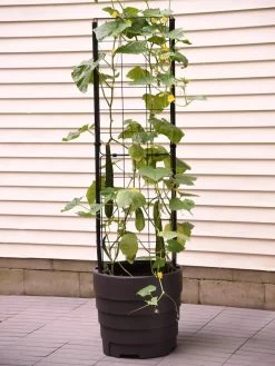 Gardener’s Victory Self-Watering Planter Garden With Vine Trellis 11 Gardener’s Victory Self-Watering Planter Garden With Vine Trellis -Outdoor Garden Care Shop 8600177 9876 tif 1