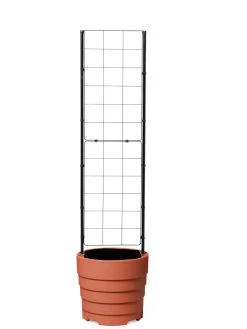 Gardener’s Victory Self-Watering Planter With Vine Trellis 19 Gardener’s Victory Self-Watering Planter With Vine Trellis -Outdoor Garden Care Shop 8600178 7000 tif