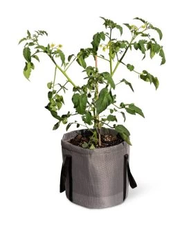 Reinforced Colorful Grow Bags -Outdoor Garden Care Shop 8600229 0944 tif