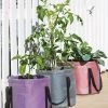 Reinforced Colorful Grow Bags 1 Reinforced Colorful Grow Bags -Outdoor Garden Care Shop 8600229 19957 tif