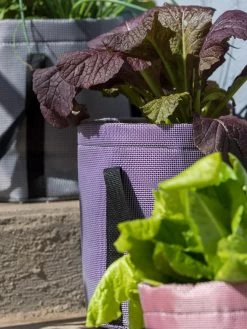 Reinforced Colorful Grow Bags -Outdoor Garden Care Shop 8600230 20013 tif