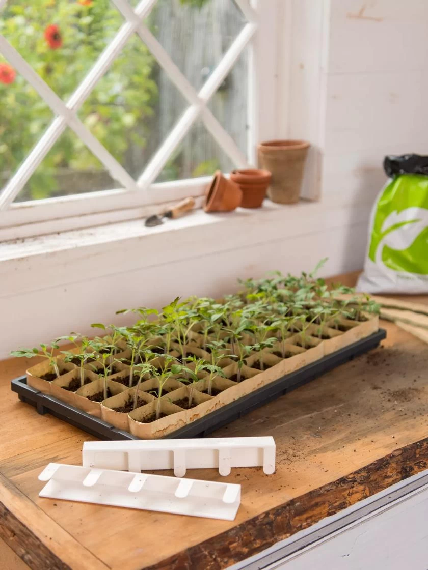 Paper Pots Starter Set 7 Paper Pots Starter Set - Image 5