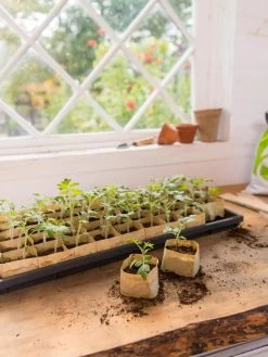 Paper Pots Starter Set 13 Paper Pots Starter Set -Outdoor Garden Care Shop 8600273 0307 tif