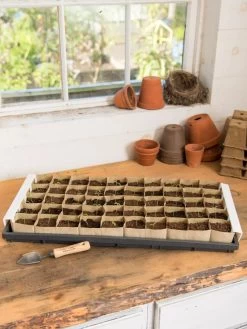 Paper Pots Starter Set 10 Paper Pots Starter Set -Outdoor Garden Care Shop 8600273 18521 tif