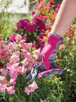 Gardener's Floral Pruning Bypass Shears -Outdoor Garden Care Shop 8600299 19545 tif