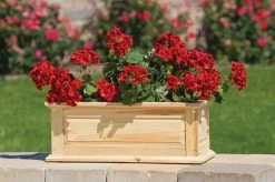 Savannah Window Boxes -Outdoor Garden Care Shop 8600461 04V tif