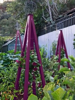 Akoris Garden Tuteur Jr. -Outdoor Garden Care Shop 8600517 01V akoris garden tuteur tif