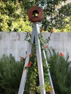 Bird Cafe + Akoris Garden Tuteur Jr. 17 Bird Cafe + Akoris Garden Tuteur Jr. -Outdoor Garden Care Shop 8600525 07v