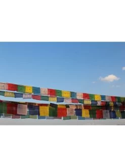 Tibetan Prayer Flags 10 Tibetan Prayer Flags -Outdoor Garden Care Shop 8600646 01v