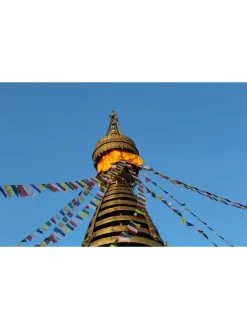 Tibetan Prayer Flags 12 Tibetan Prayer Flags -Outdoor Garden Care Shop 8600646 04v