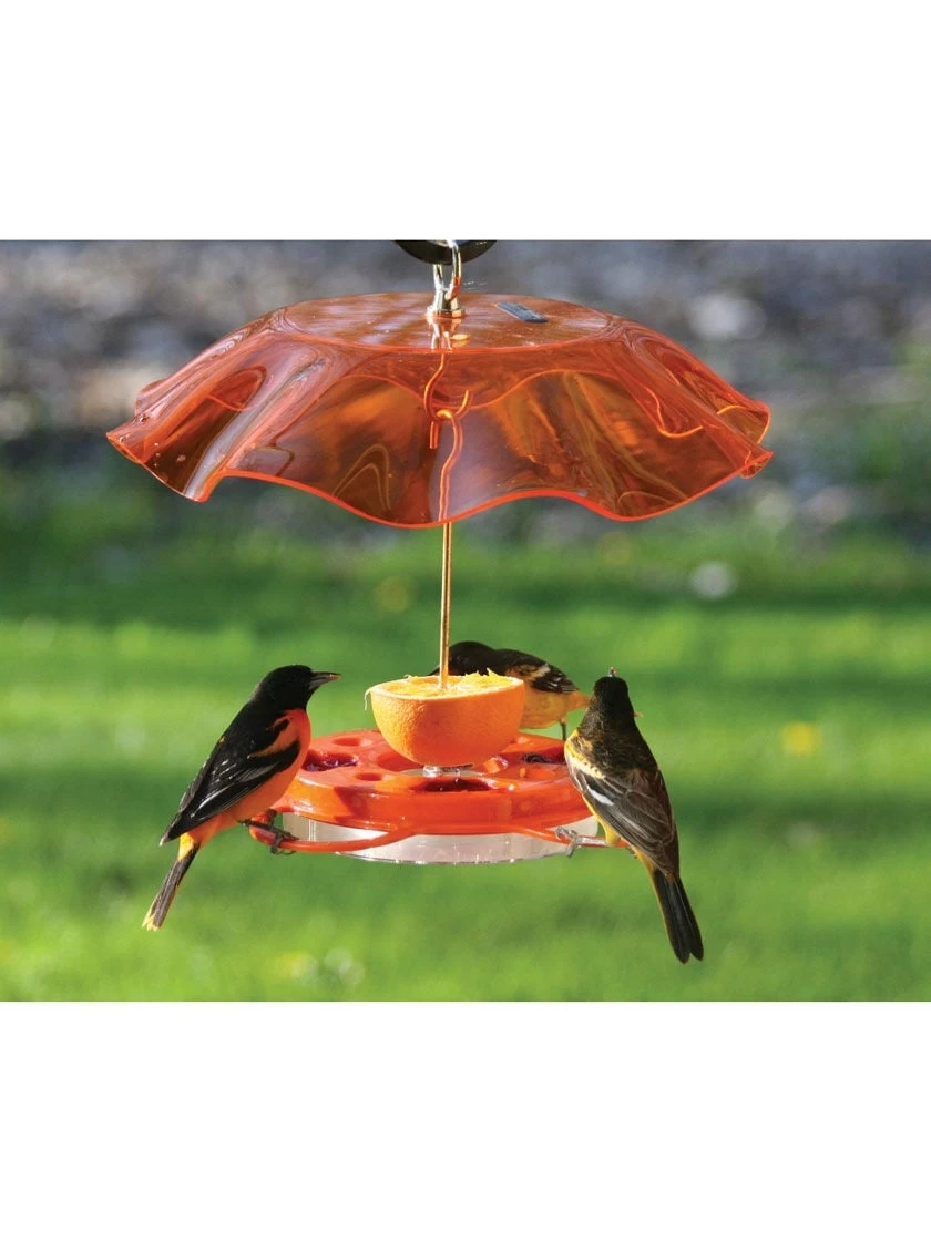 Birds Choice™ Oriole Feeder With Bee And Weather Guard 4 Birds Choice™ Oriole Feeder With Bee And Weather Guard - Image 2