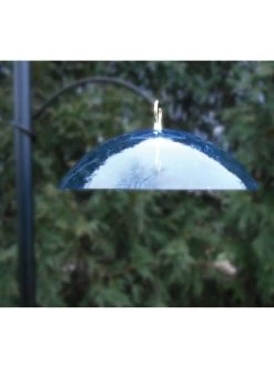 Birds Choice Hanging Dome With Brass Hanger 7 Birds Choice Hanging Dome With Brass Hanger -Outdoor Garden Care Shop 8608736 01v birds choice hanging feeder dome with brass hanger blue