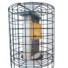 Birds Choice Double Cake Suet Feeder With Cage -Outdoor Garden Care Shop 8608761 01v birds choice double cake suet feeder with cage