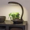 Agrobrite Desktop LED Plant Lamp -Outdoor Garden Care Shop 8608871 0345 tif