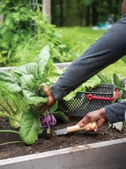 Gardener's Lifetime Hori Hori Knife -Outdoor Garden Care Shop 8608888 0422 tif