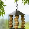 Fly-Through Suet Ball Feeder 2 Fly-Through Suet Ball Feeder -Outdoor Garden Care Shop 8608913 0579 fly through suet ball feeder