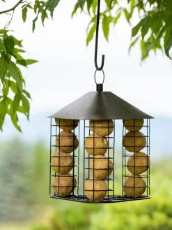 Fly-Through Suet Ball Feeder