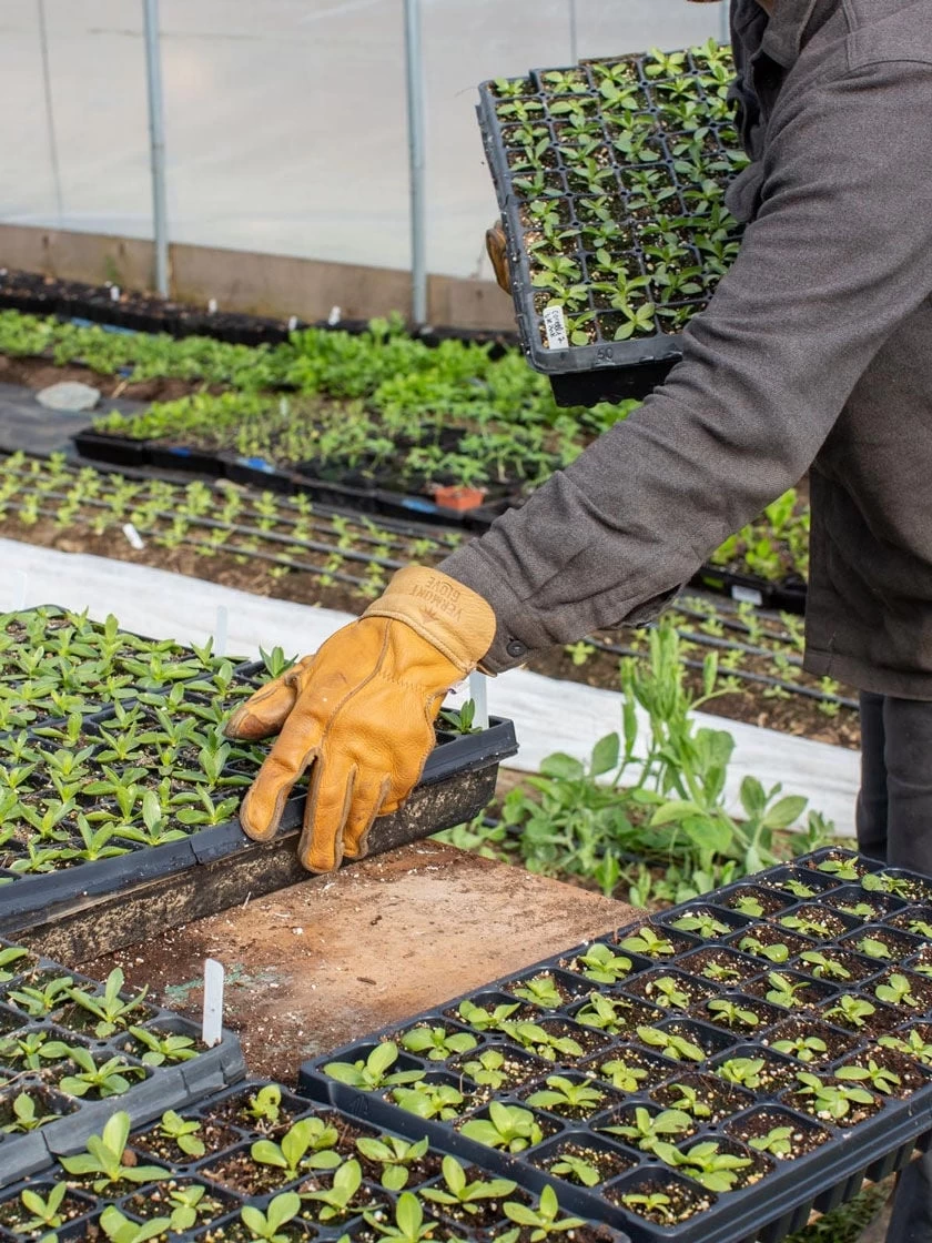 The Vermonter By Vermont Glove 5 The Vermonter By Vermont Glove - Image 3