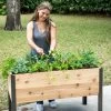 Self-Watering Elevated Planter Box, 2' X 4' 2 Self-Watering Elevated Planter Box, 2' X 4' -Outdoor Garden Care Shop 8608959 4040 tif