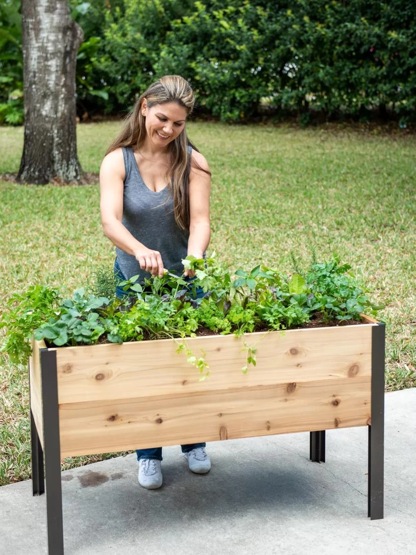 Self-Watering Elevated Planter Box, 2' X 4' 3 Self-Watering Elevated Planter Box, 2' X 4'
