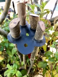 Garden Cane Connects, Set Of 6 -Outdoor Garden Care Shop 8609019 01V tif