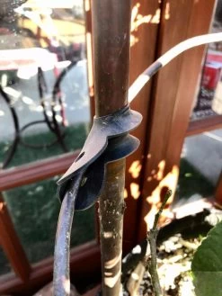 Garden Cane Connects, Set Of 6 -Outdoor Garden Care Shop 8609019 03V tif