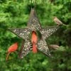 Star Fly-Thru™ Bird Feeder -Outdoor Garden Care Shop 8609057 04v star fly thru bird feeder good directions