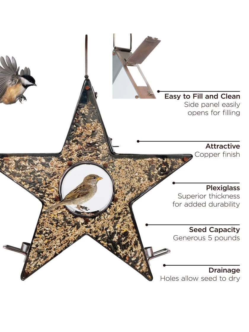 Star Fly-Thru™ Bird Feeder 4 Star Fly-Thru™ Bird Feeder - Image 2