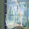 Dewdrop Window Bird Feeder