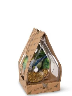 Dewdrop Window Bird Feeder -Outdoor Garden Care Shop 8609061 4444 tif