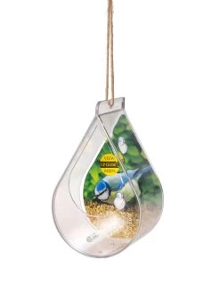 Dewdrop Window Bird Feeder -Outdoor Garden Care Shop 8609061 4447 tif