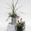 Metal Bucket Planters 1 Metal Bucket Planters -Outdoor Garden Care Shop 8609086 5623 tif